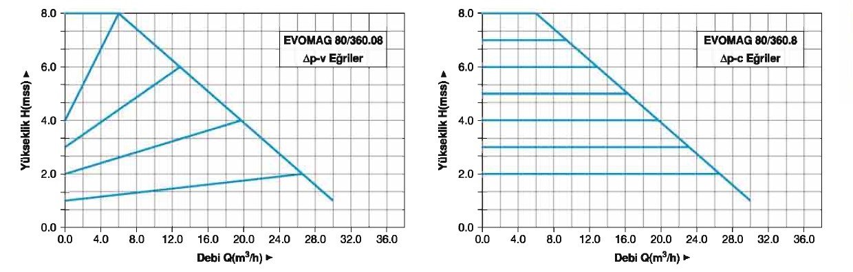 Master EVOMAG 65/360/08 Flanşlı Sirkülasyon Pompası