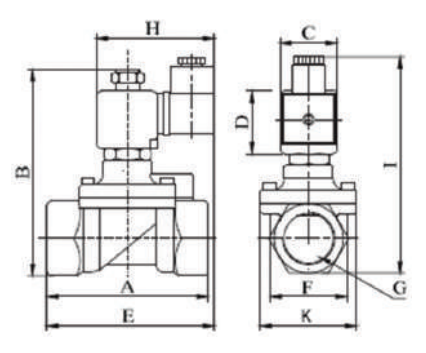 S2021 Buhar Solenoid Vana Ölçü