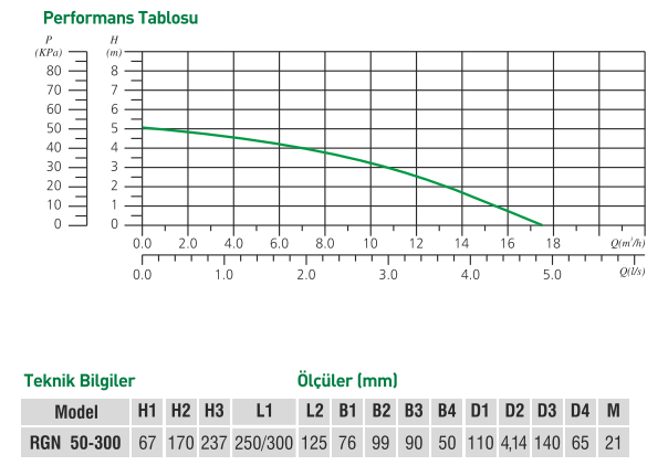 Regen RGN 50-300 Monofaze Flanşlı Sirkülasyon Pompası