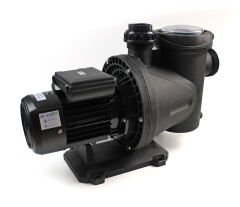 Winpo Wnp Pool-1 1M Havuz Pompası Monofaze 1HP