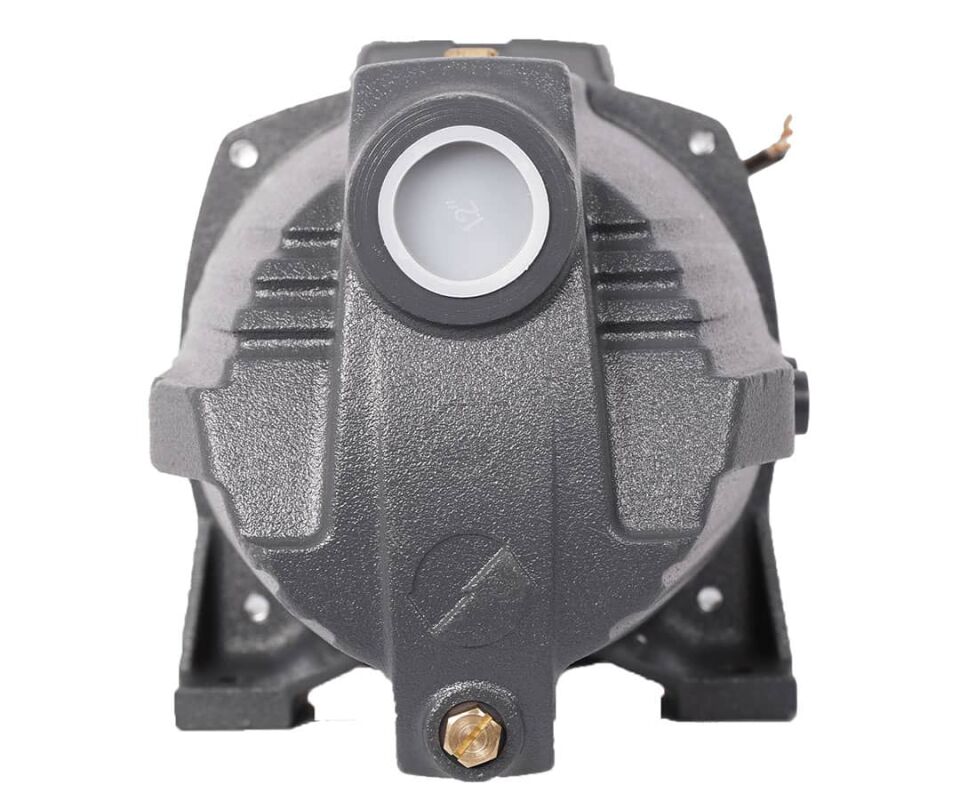 LEO AJm150H Kendinden Emişli Jet Pompa 2 Hp 220 V