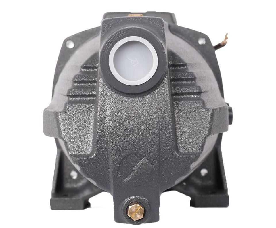 LEO AJm110 Kendinden Emişli Jet Pompa 1.5 Hp 220V