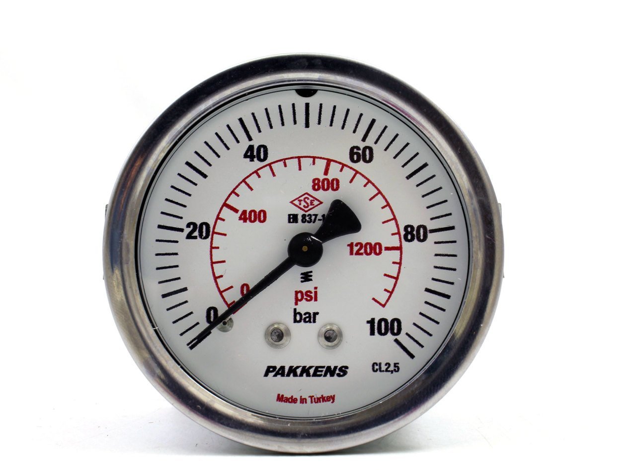Pakkens 0-100 Bar 50 mm Panotipi Arkadan Bağlantılı Kuru Manometre G 1/8 inç