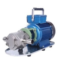 Paslanmaz Gövdeli Dişli Yağ, Gıda Aktarma Pompası 1Hp 3 Bar 2.1 m³/h 220 Volt - WCB 75SSM