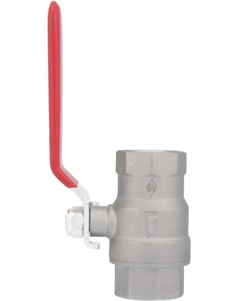 Pakkens 1.1/4'' Küresel Vana Dişi / Dişi