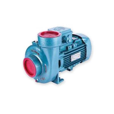Varan CS-21 Kompakt Monoblok Santrifüj Pompa 1 Hp 380 Volt