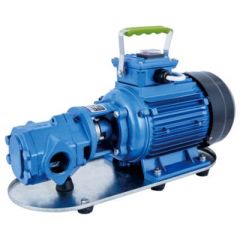 Dişli Yağ Aktarma Pompası 1.5Hp 4 Bar 90 lt/dk 220 Volt - WCB 100M