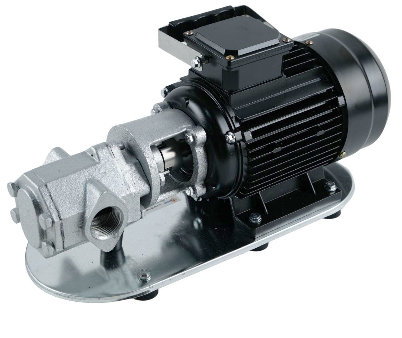 Dişli Yağ Aktarma Pompası 1.5Hp 4 Bar 60 lt/dk 380 Volt - WCB 100T