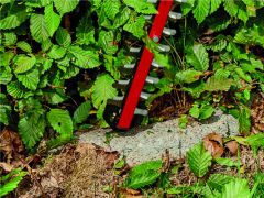 Einhell ARCURRA 18/55-Solo Akülü Çit Budama Makinesi