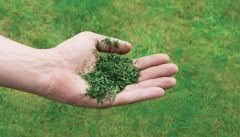 Einhell GC-PM 56/2 S HW Benzinli Çim Biçme Makinesi 2.8kW