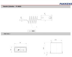 Pakkens 58x25 mm 0/+120 °C Arkadan Bağlantılı Gazlı Termometre 3mt Kapiler Boyu