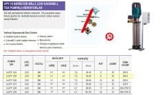 Ulusu 1xUPY 12/6 Düşey Milli Kademeli Hidrofor 3 Hp 380 Volt
