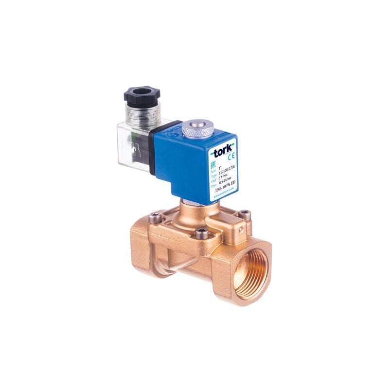 Tork S2020 Buhar Solenoid Valf Pilot Kumandalı N.Kapalı Fark Basınçsız
